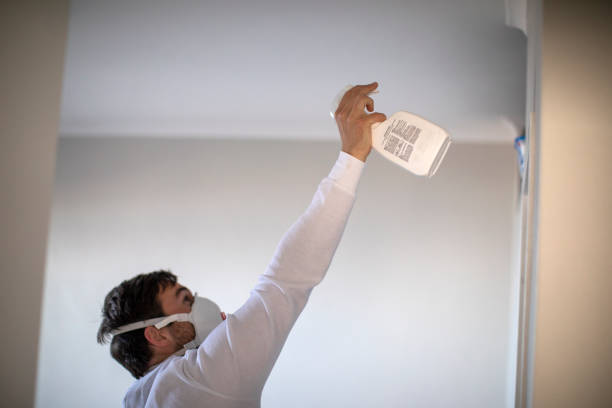 Professional Mold Removal in Pine Brook, NJ