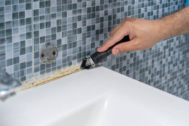 Best Affordable Mold Removal  in Pine Brook, NJ